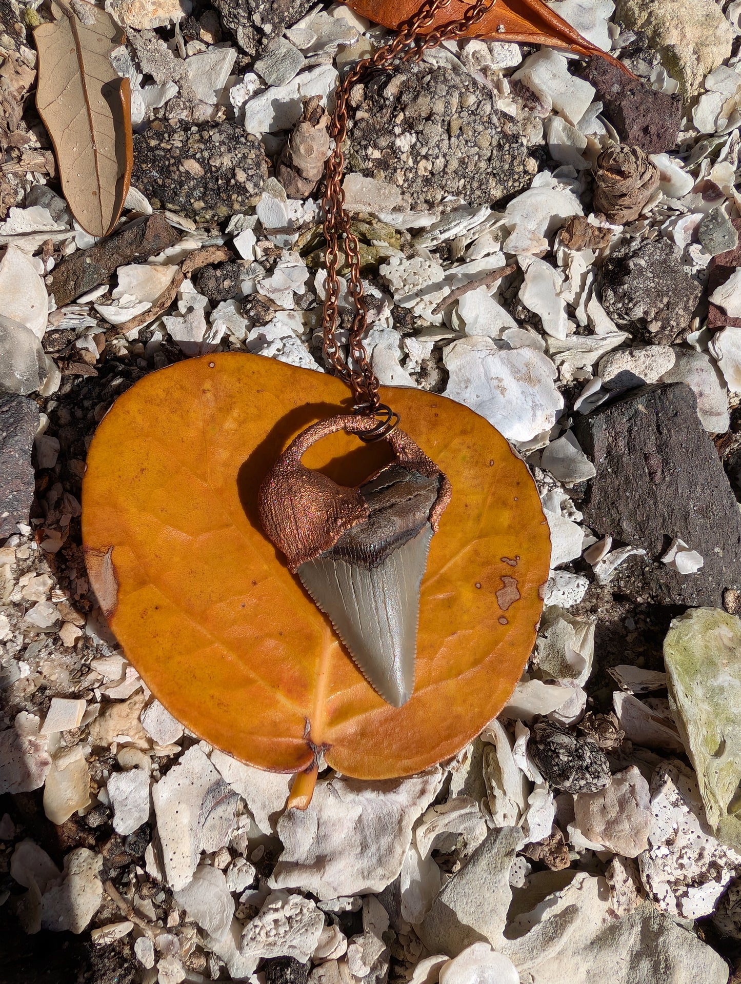 Megalodon Tooth Pendant Necklace