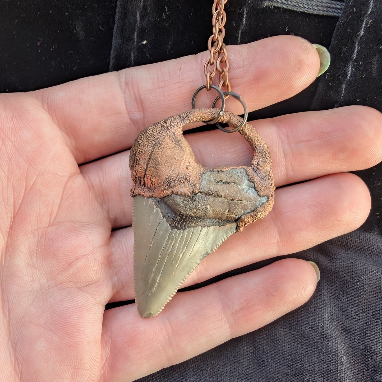 Megalodon Tooth Pendant Necklace