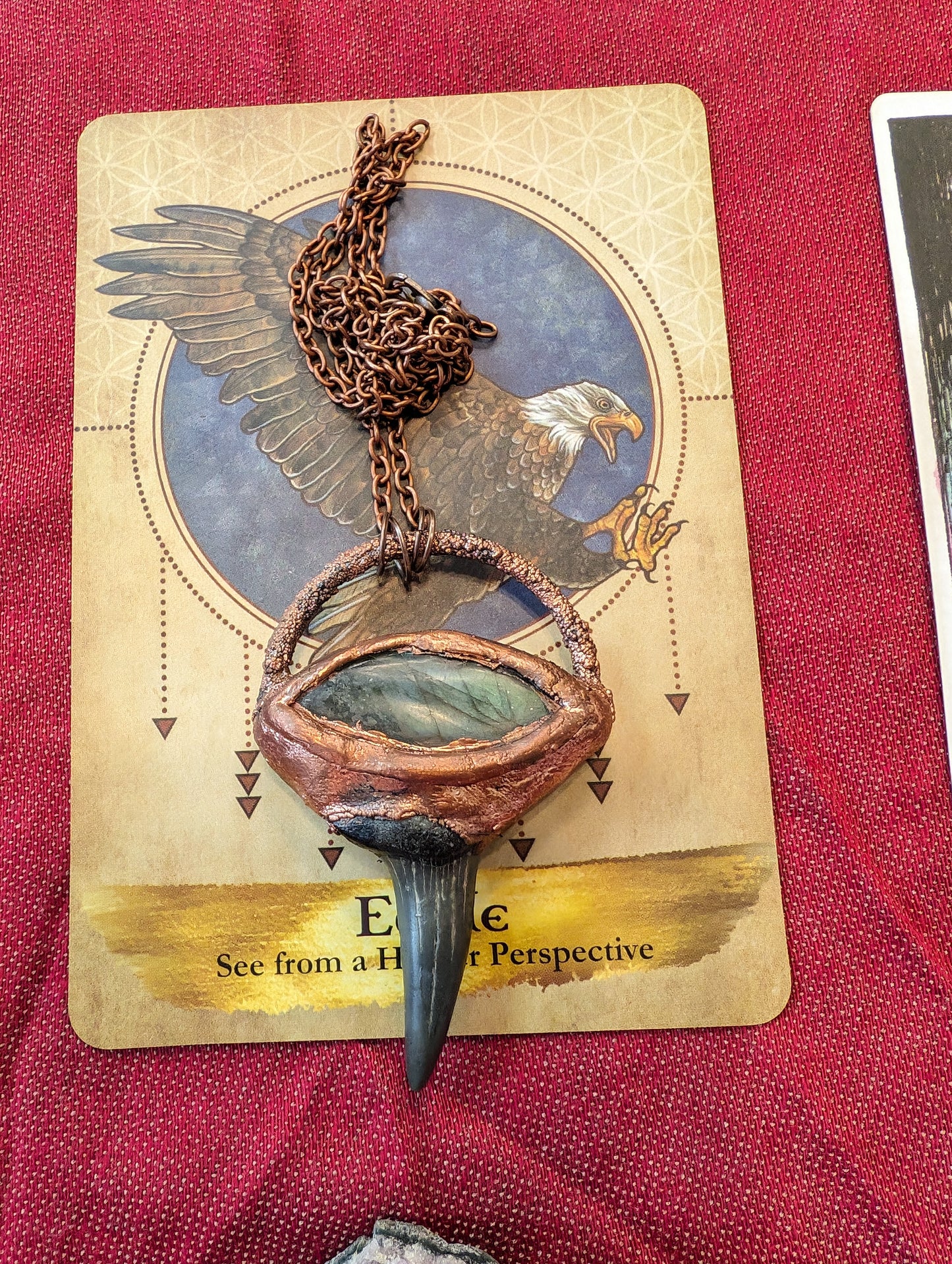Labradorite Fossilized Shark Tooth Eye Talisman 👁️