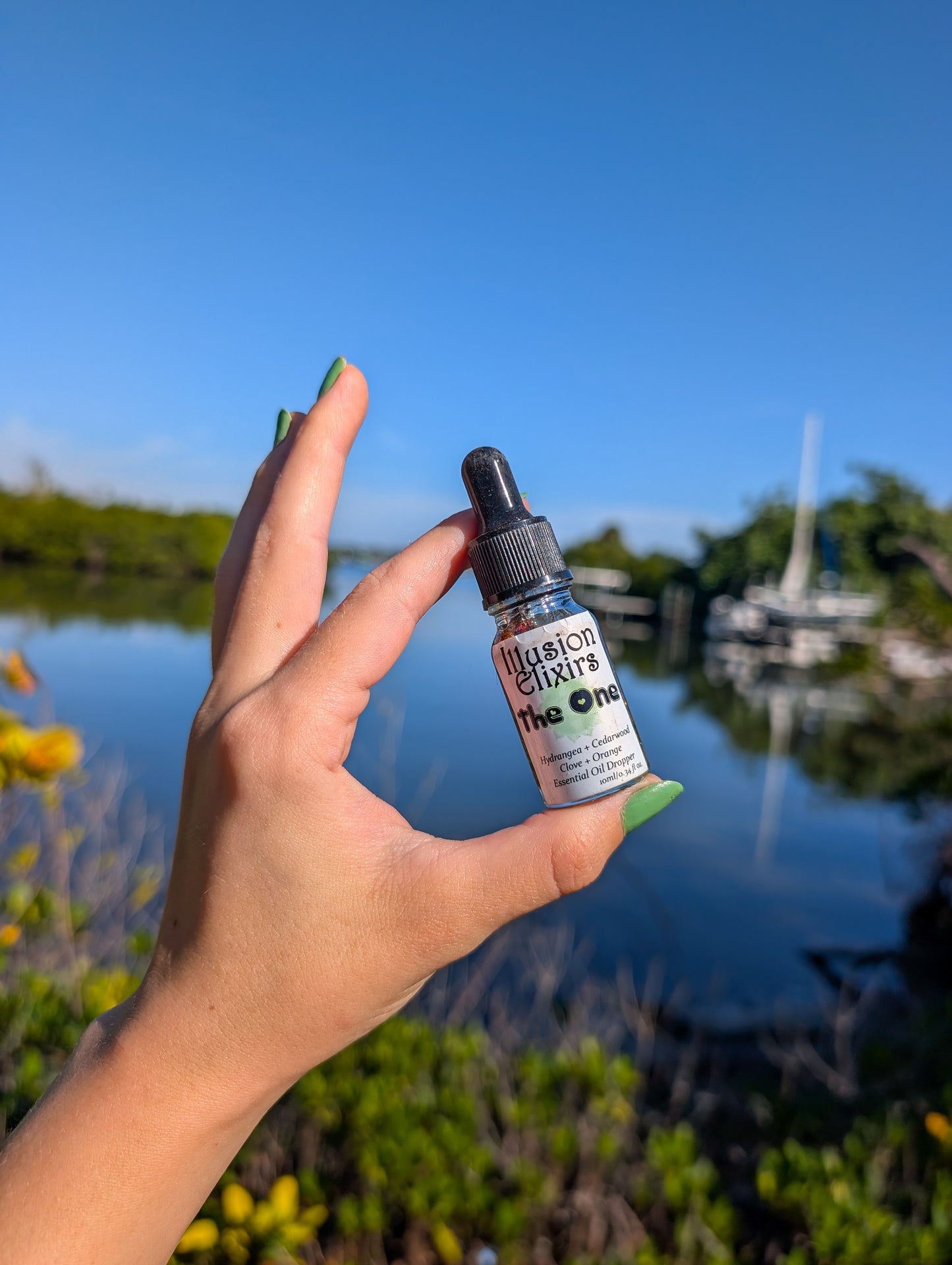 The One Hydrangea + Cedarwood + Clove + Orange| Fall + Winter Roll-on Essential Oil Perfume