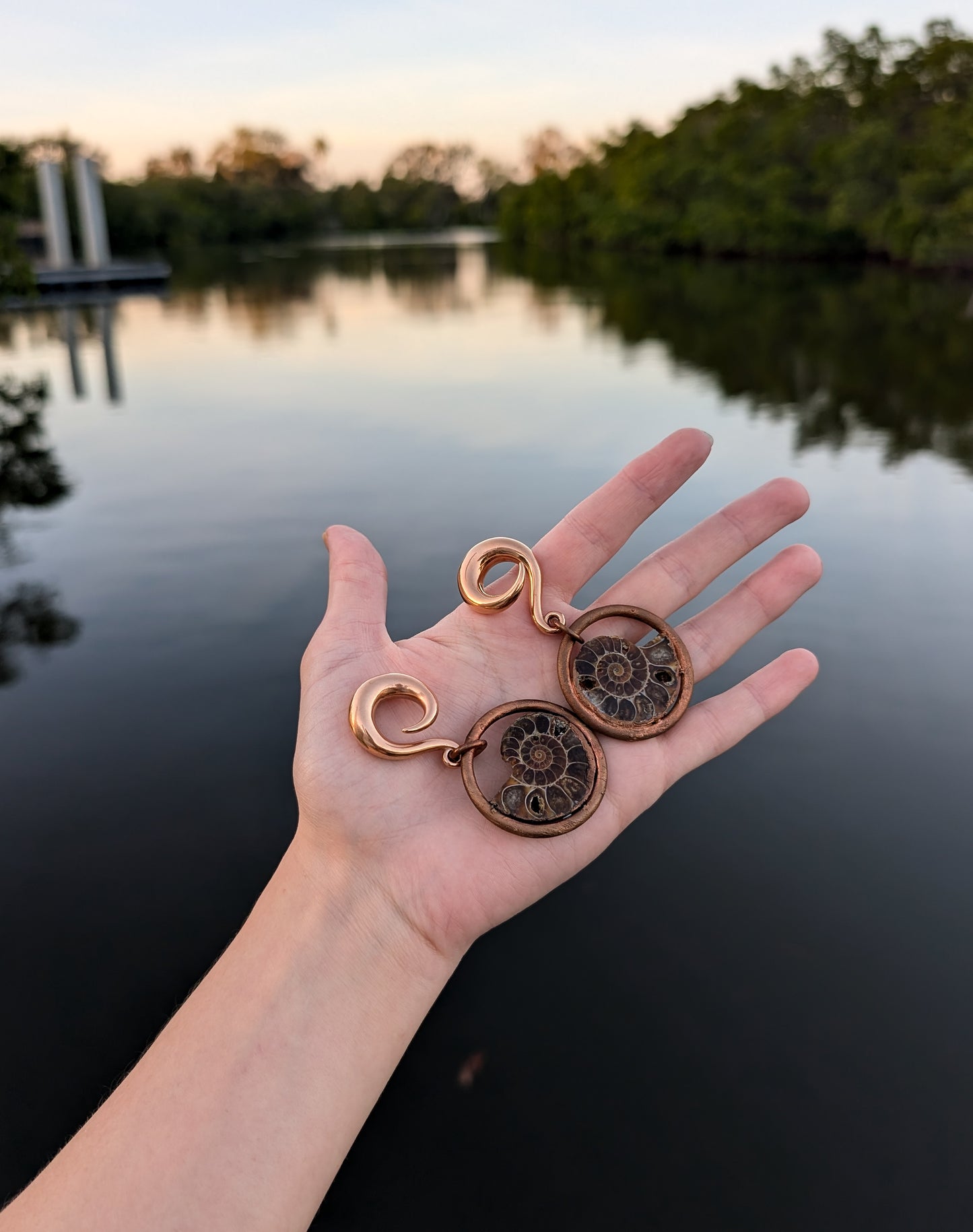 Copper Ammonite Size 0 Ear Weights Hypoallergenic Stainless Steel