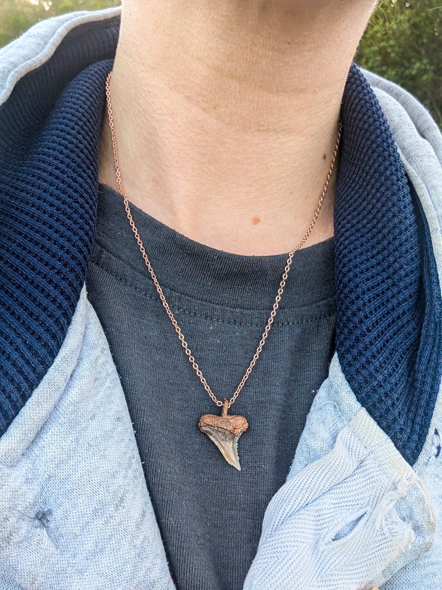 Electroformed Copper Fossilized Tiger Shark Tooth Pendant Necklace