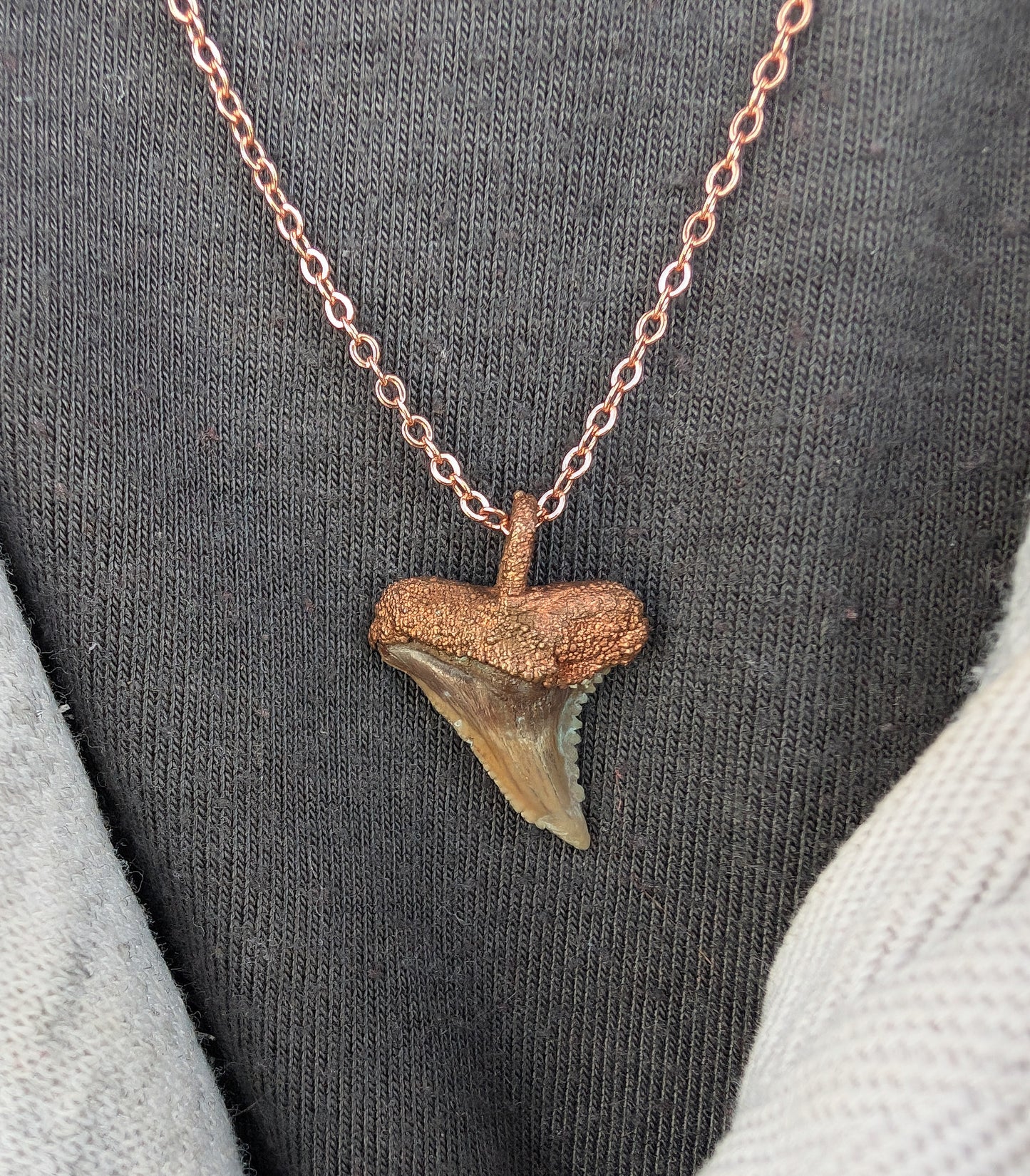 Electroformed Copper Fossilized Tiger Shark Tooth Pendant Necklace