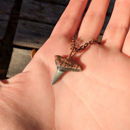 Fossilized Shark Tooth Pendant