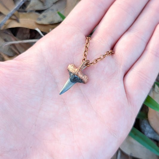 Fossilized Shark Tooth Pendant Necklace 2