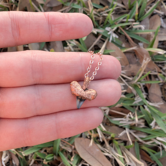 Tiny Fossilized Shark Tooth Pendant Necklace