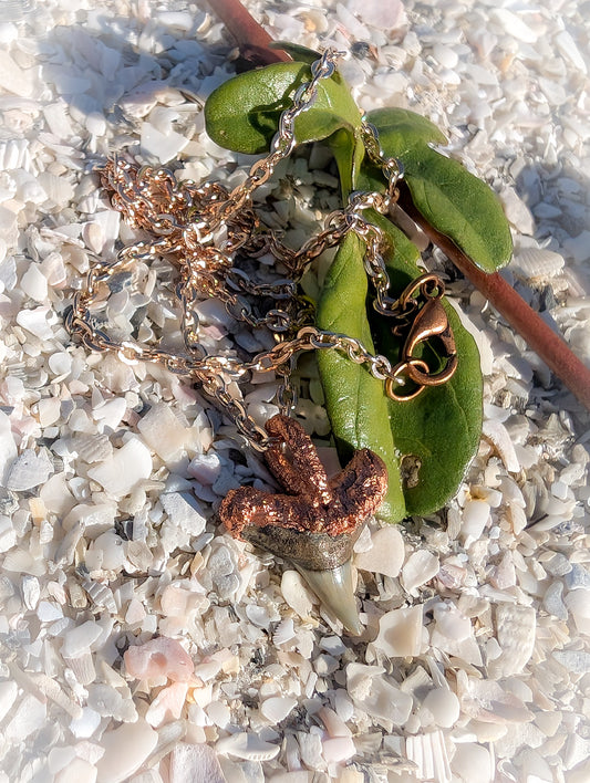 Shark Tooth Copper Pendant Necklace