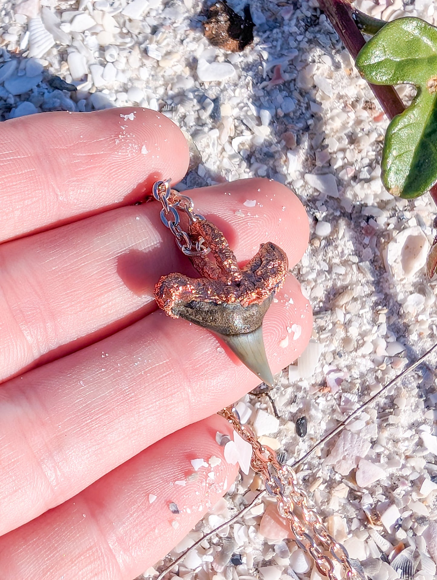Shark Tooth Copper Pendant Necklace