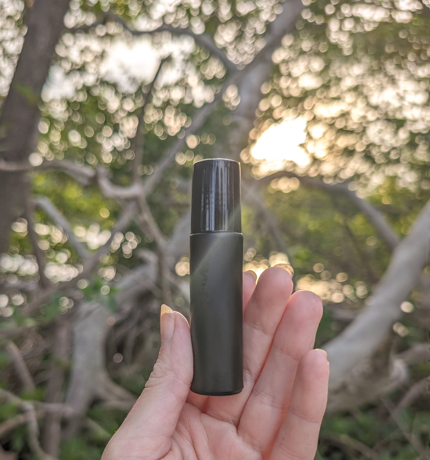 Protection | Mountain Rain | Fresh Clean Roll-On Perfume Oil