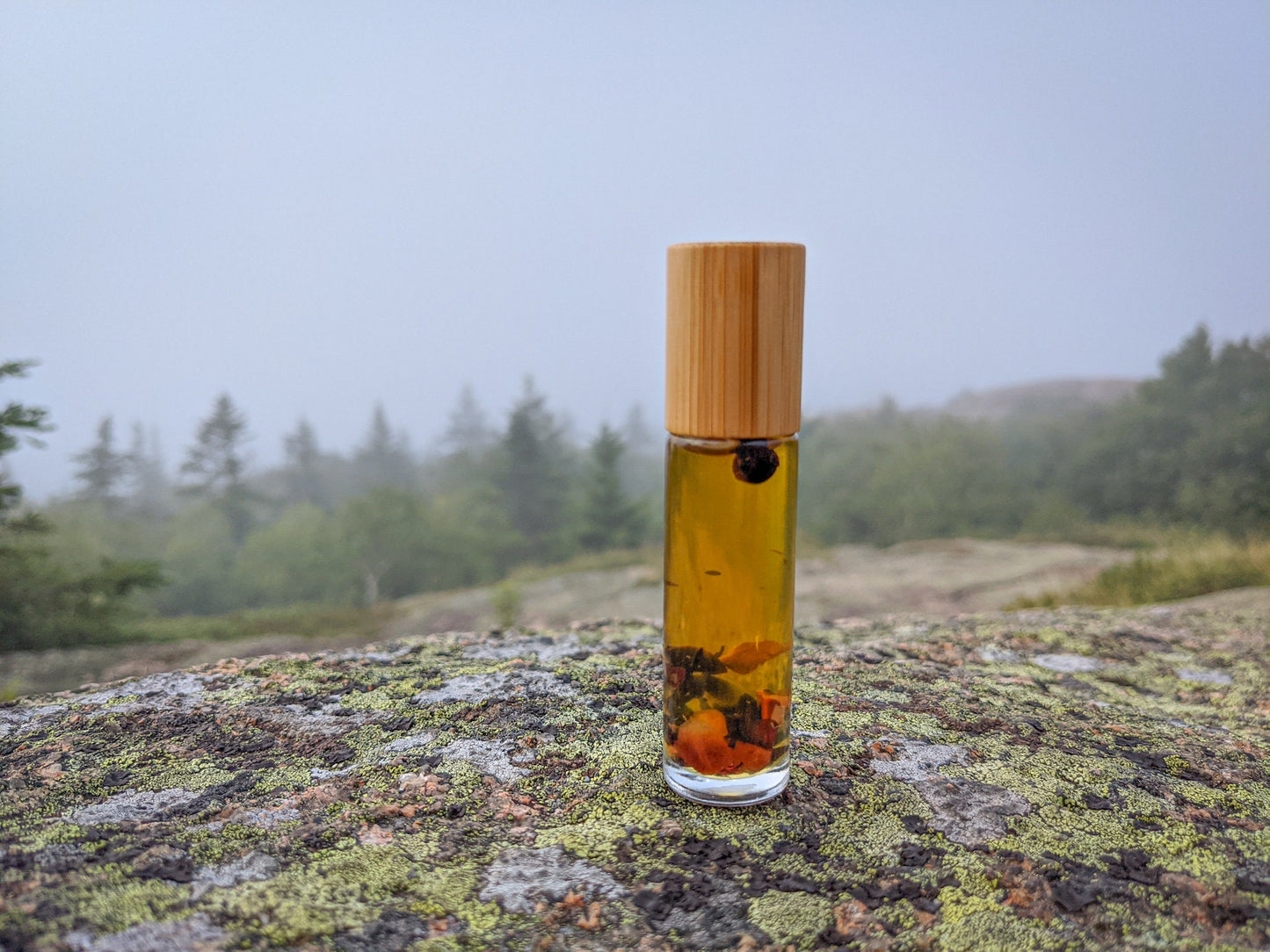 Calm | Balsam Fir | Woodsy Pine Roll-On Aromatherapy Blend