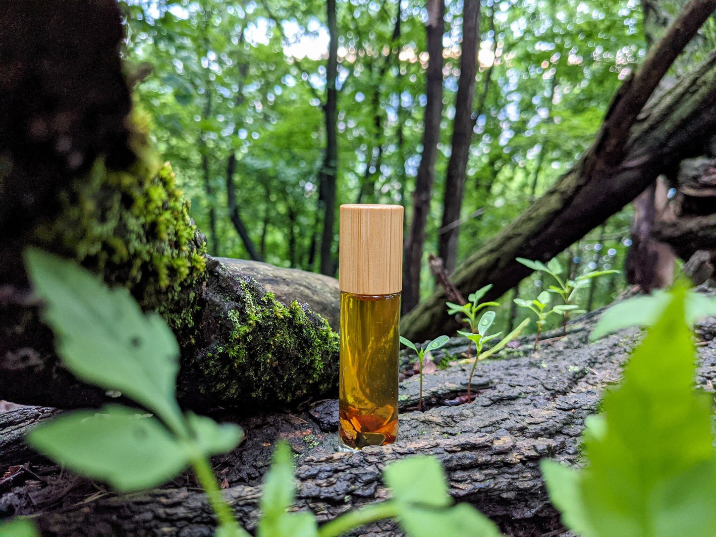 Calm | Balsam Fir | Woodsy Pine Roll-On Aromatherapy Blend