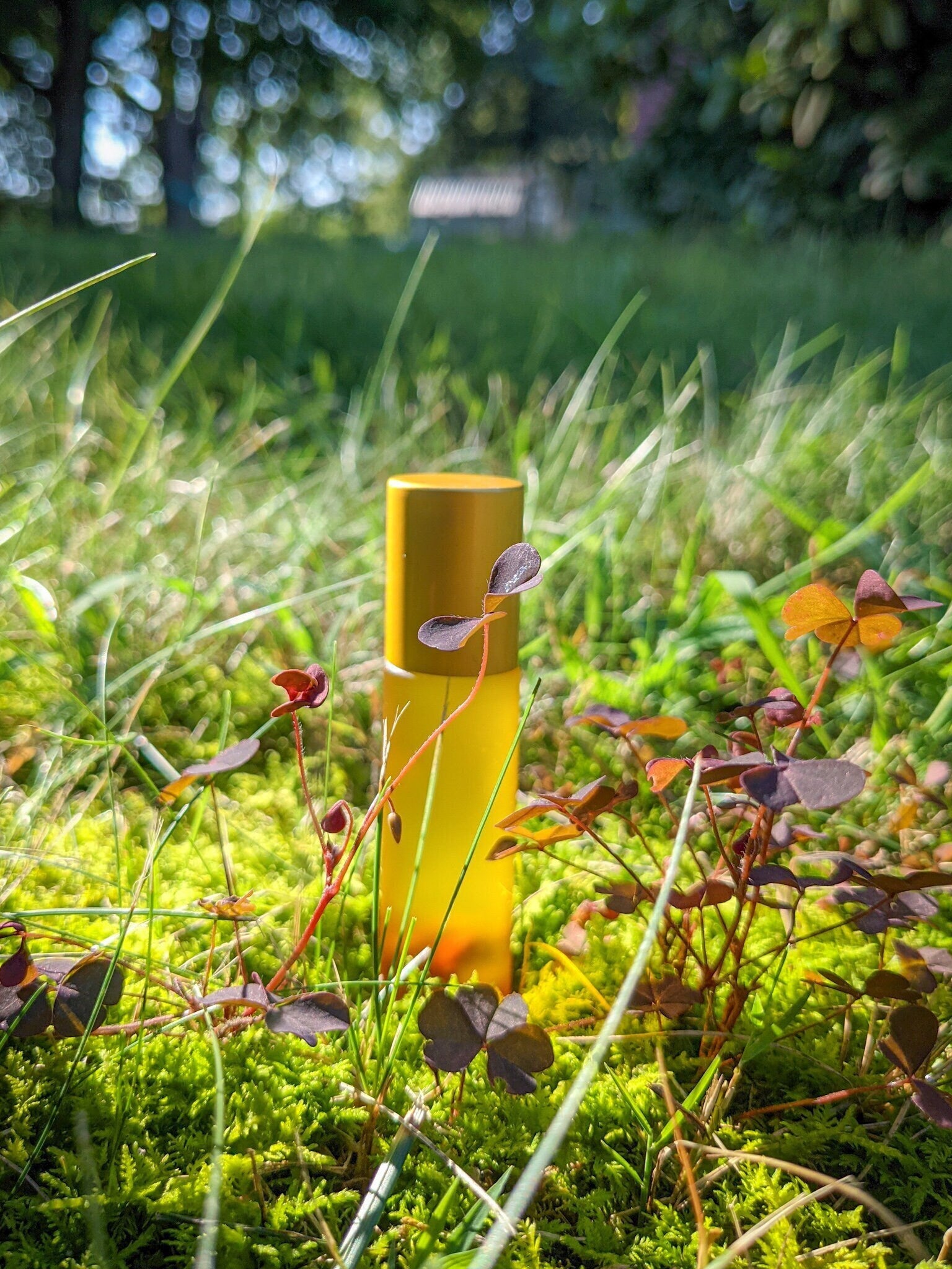 Colonge Potion Luck | Frankincense + Orange | Bright Roll On Potion Cologne – Illusion ...